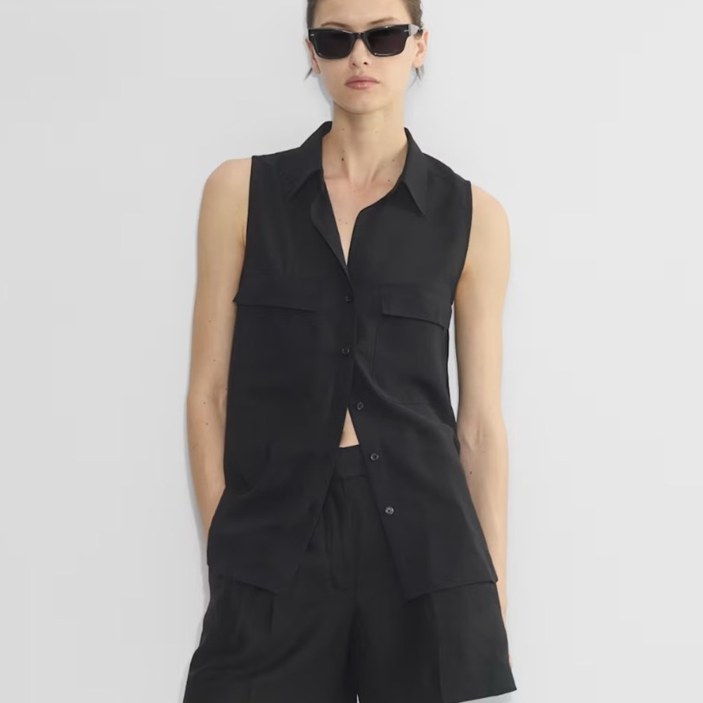 Aritzia Babaton Black Collared Blouse